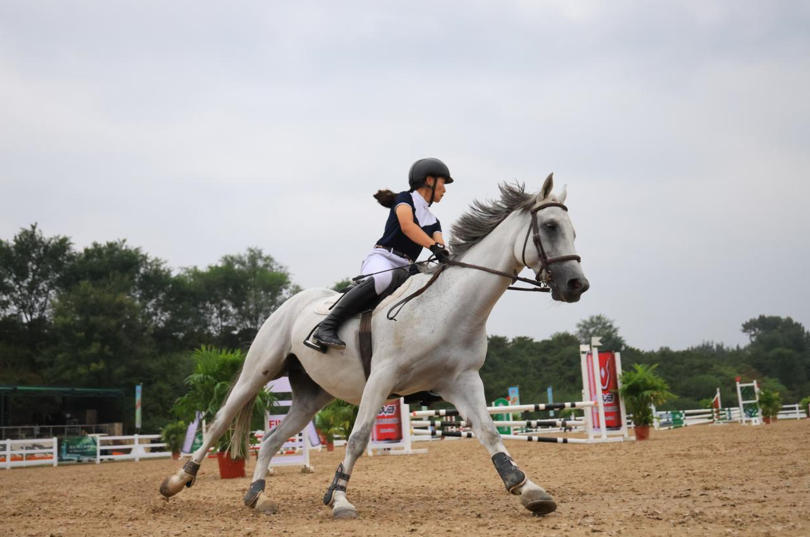 了涵盖棒垒, 艺术形式重