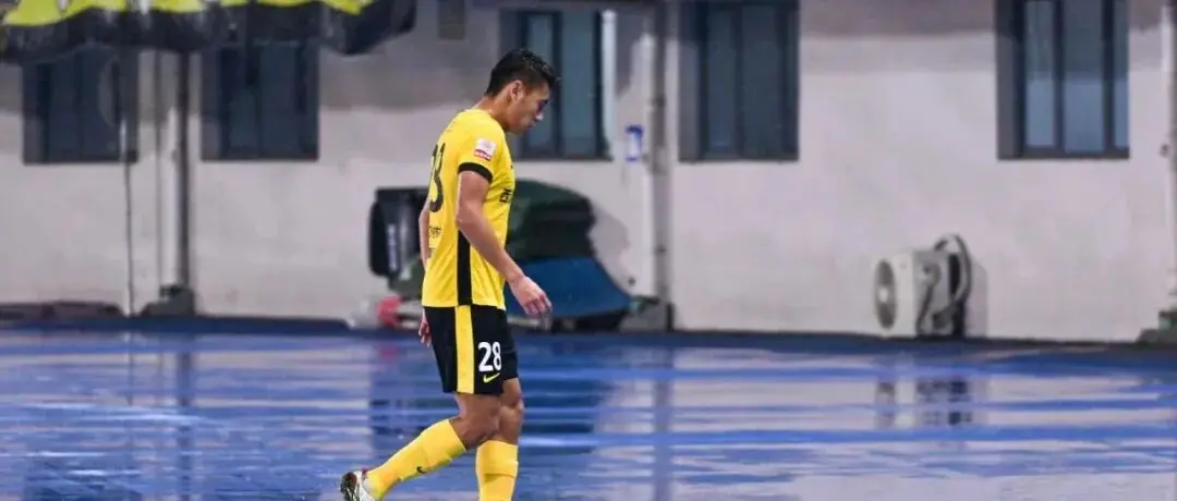 牛的比赛 牛的比赛